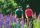 Cyclists in Bellingham WA