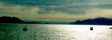 Alaska ferry to Juneau. Juneau ferries transport passengers headed to Whitter, Homer, Anchorage or Fairbanks